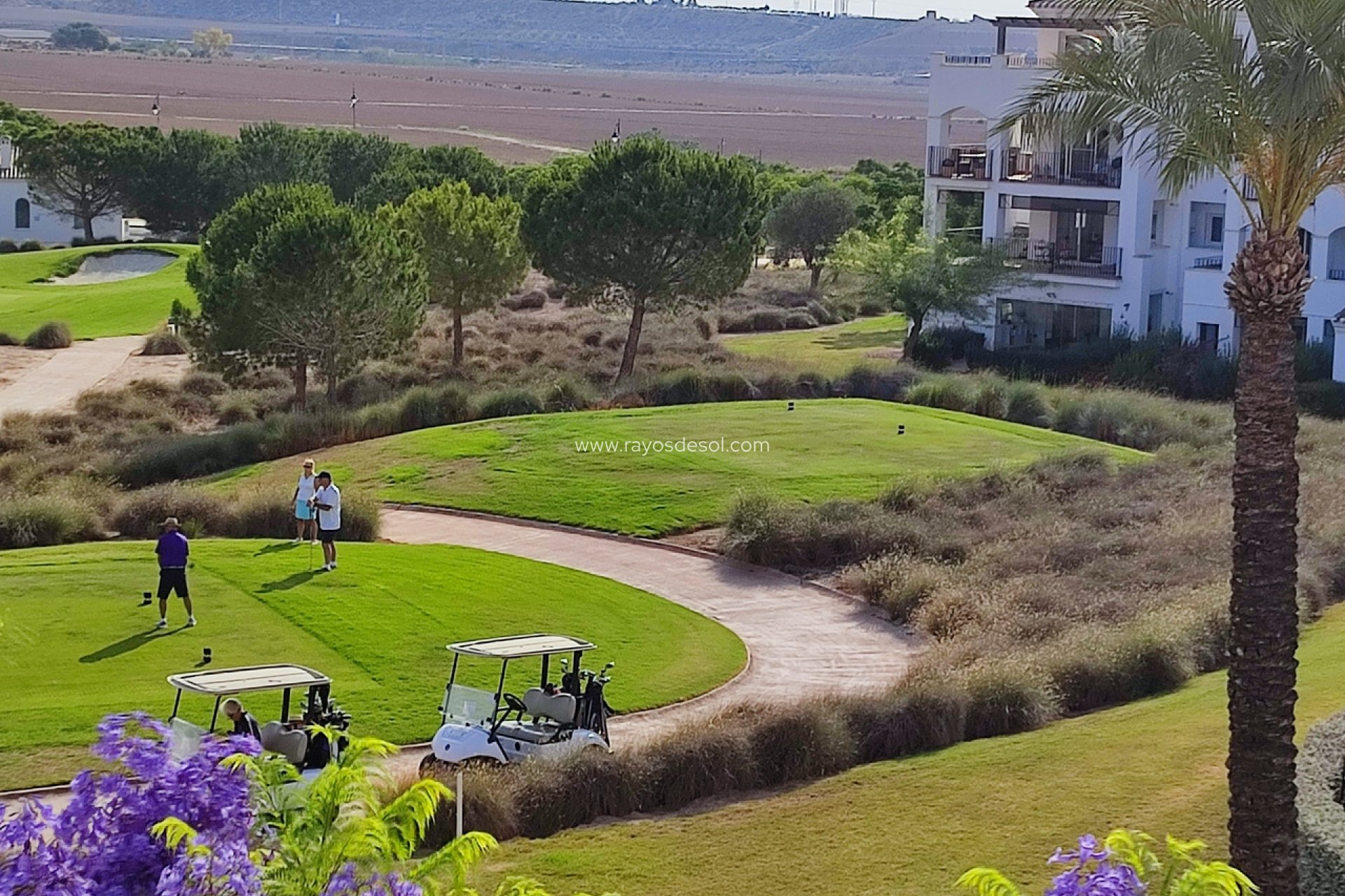 Resale - Apartment - Hacienda Riquelme Golf Resort