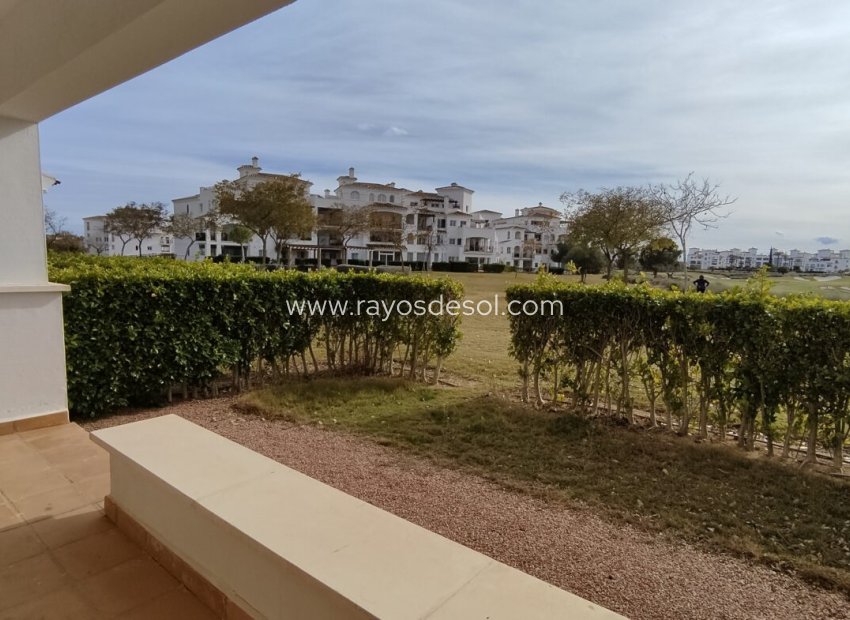 Resale - Apartment - Hacienda Riquelme Golf Resort