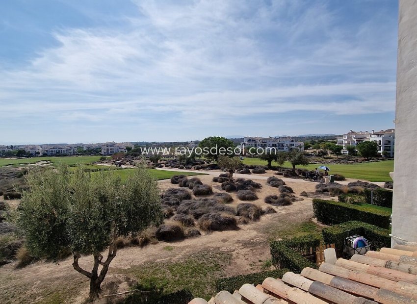 Resale - Apartment - Hacienda Riquelme Golf Resort