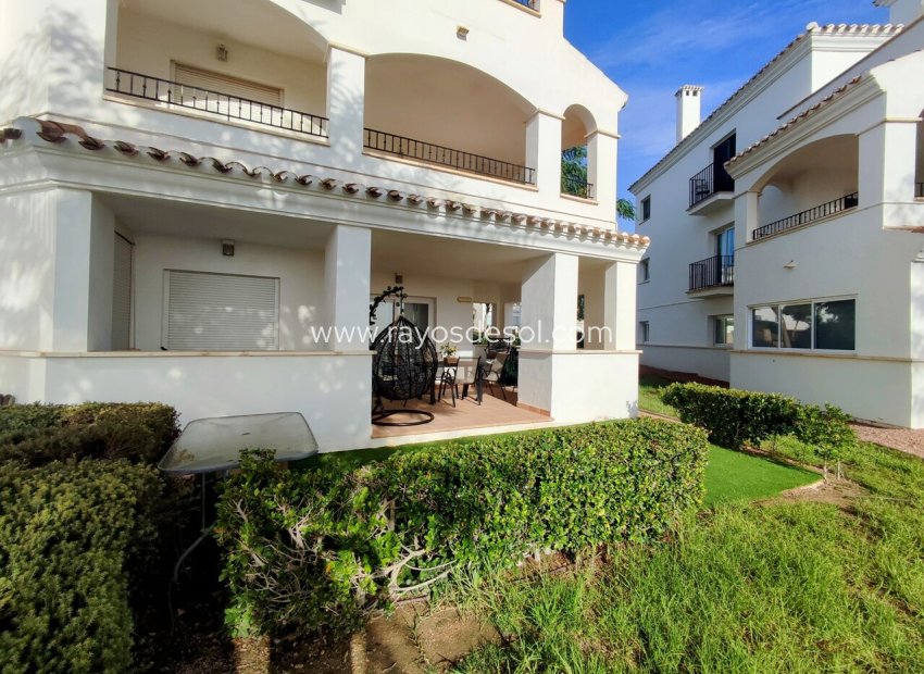 Resale - Apartment - Hacienda Riquelme Golf Resort