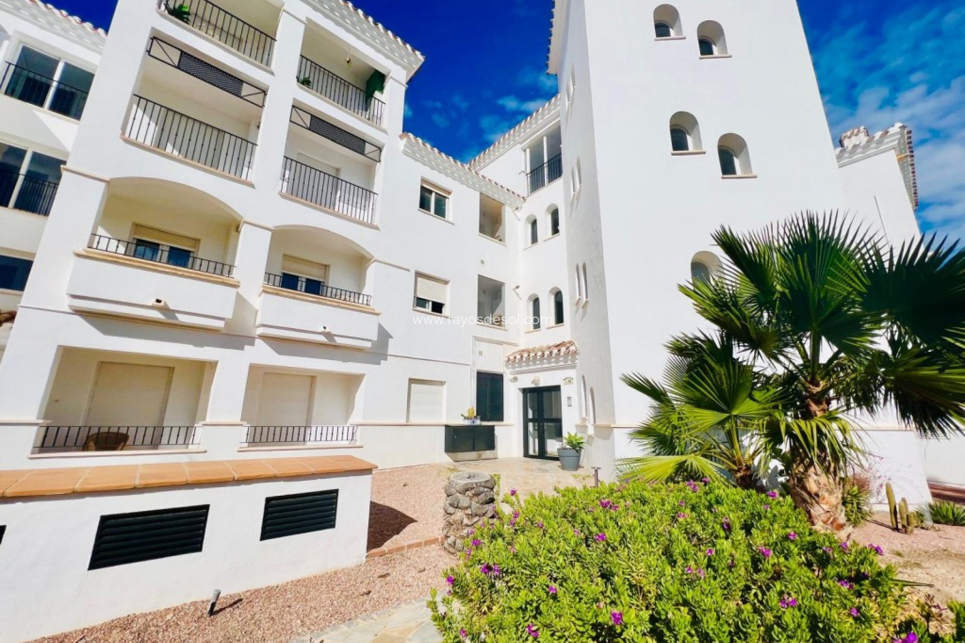 Resale - Apartment - Hacienda Riquelme Golf Resort