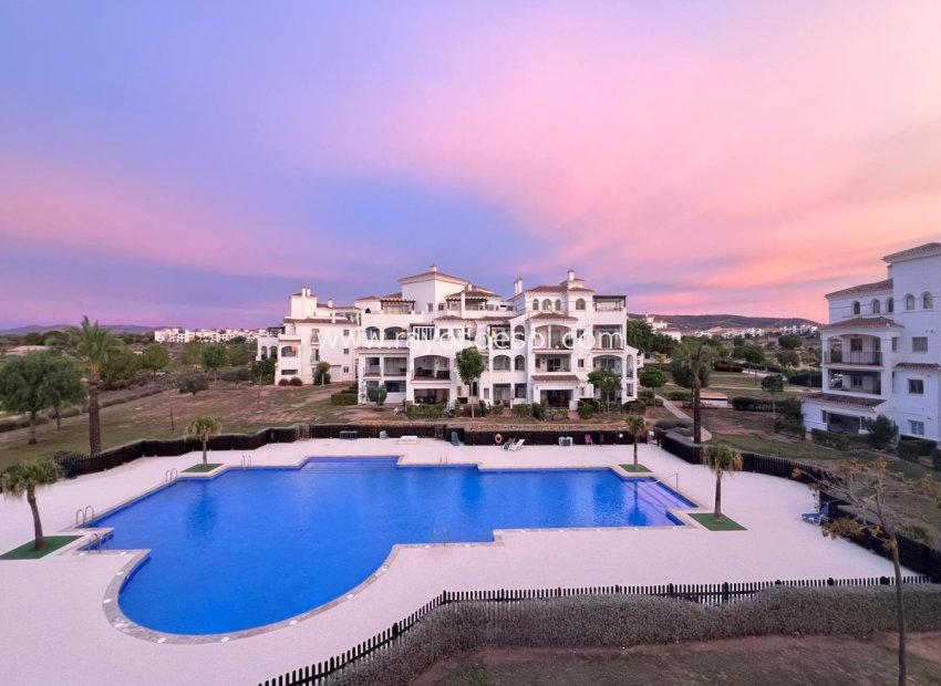 Resale - Apartment - Hacienda Riquelme Golf Resort