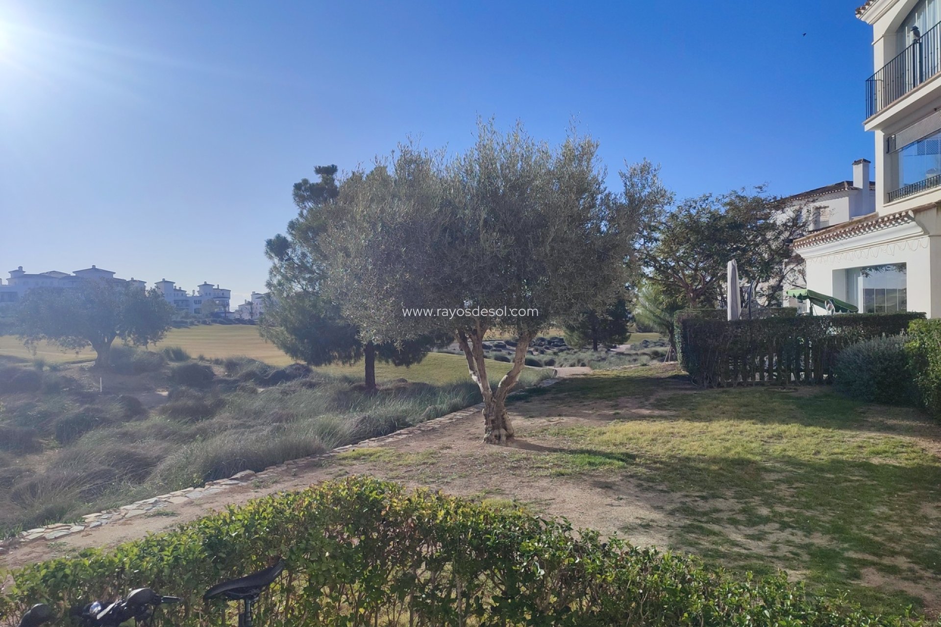 Resale - Apartment - Hacienda Riquelme Golf Resort