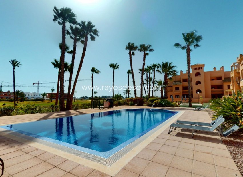Resale - Apartment - La Serena Golf