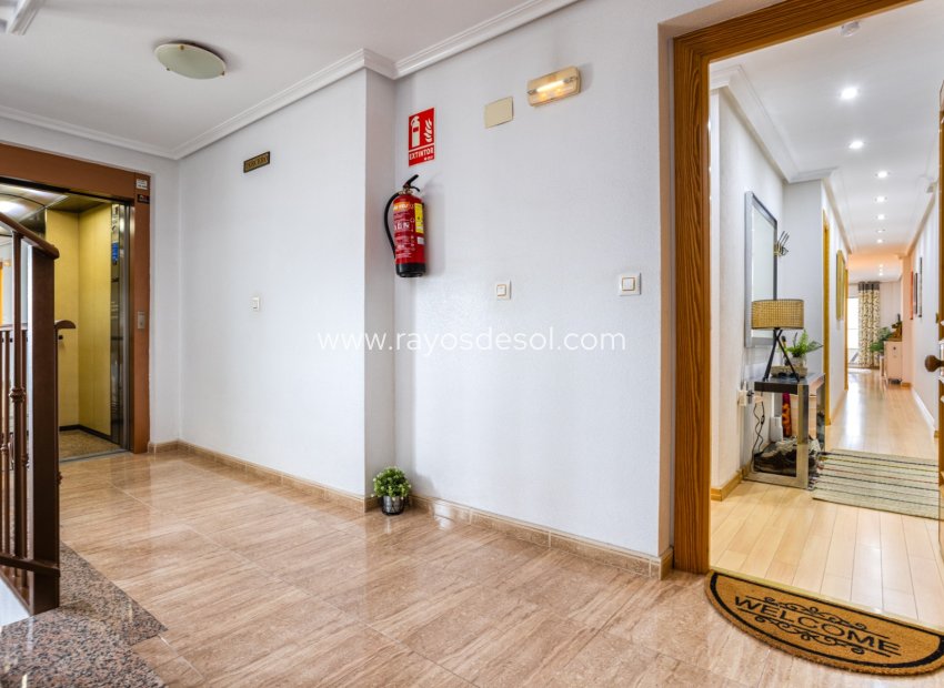 Resale - Apartment - Los Montesinos