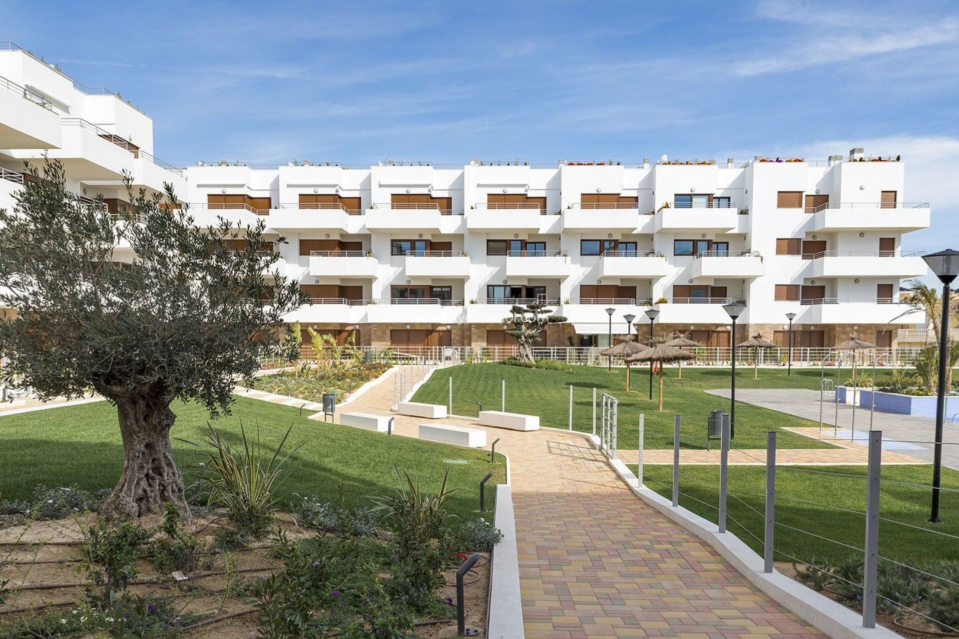 Resale - Apartment - Orihuela Costa - Cabo roig - La Zenia