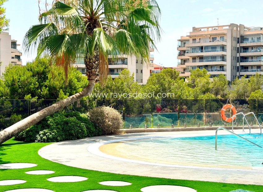 Resale - Apartment - Orihuela Costa - Cabo roig - La Zenia