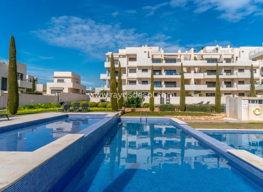 Resale - Apartment - Orihuela Costa - Cabo roig - La Zenia