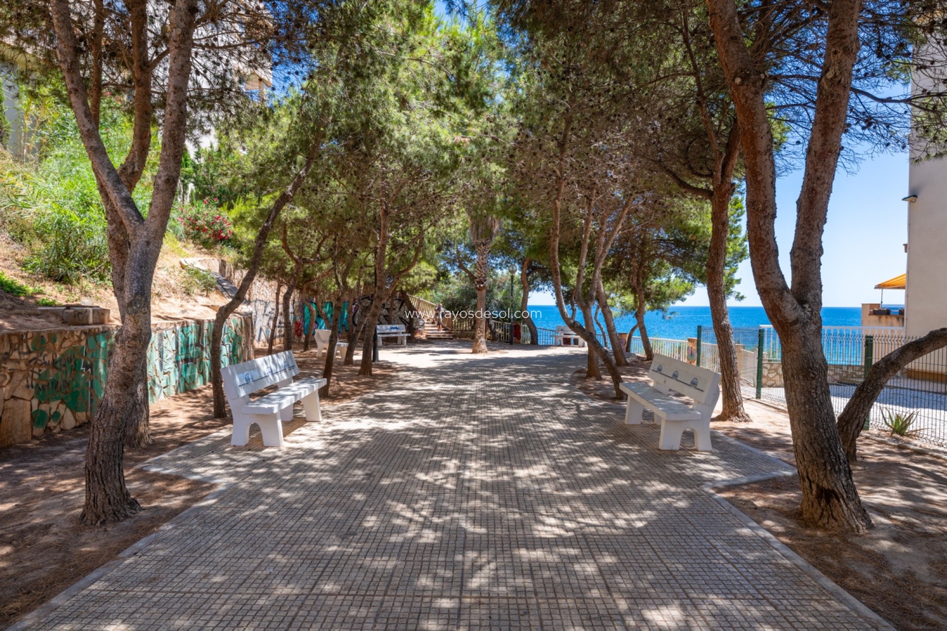 Resale - Apartment - Orihuela Costa - Cabo Roig