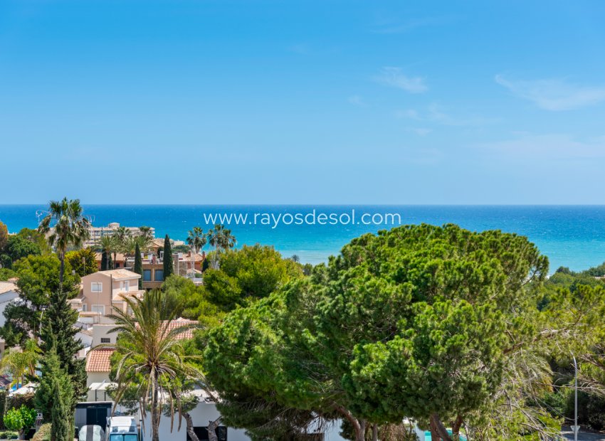 Resale - Apartment - Orihuela Costa - Dehesa de campoamor