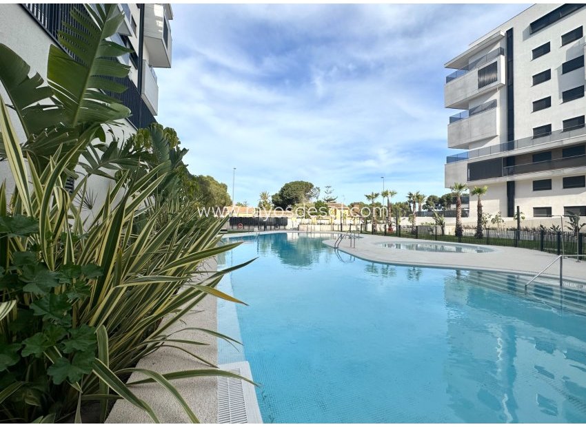 Resale - Apartment - Orihuela Costa - Dehesa de campoamor