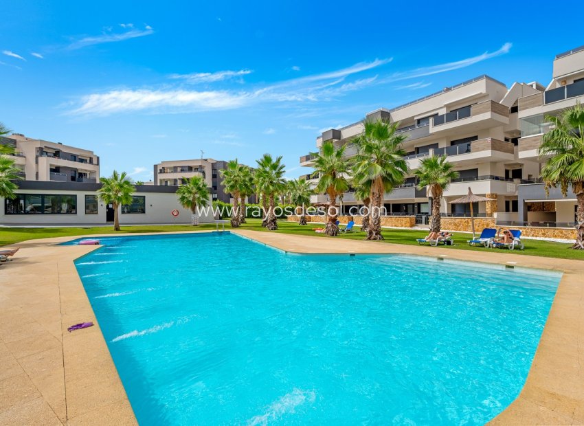 Resale - Apartment - Orihuela Costa - Los Altos