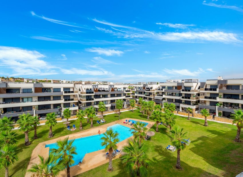 Resale - Apartment - Orihuela Costa - Los Altos