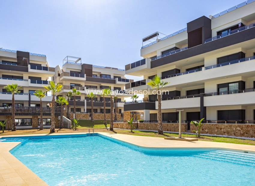 Resale - Apartment - Orihuela Costa - Los Altos