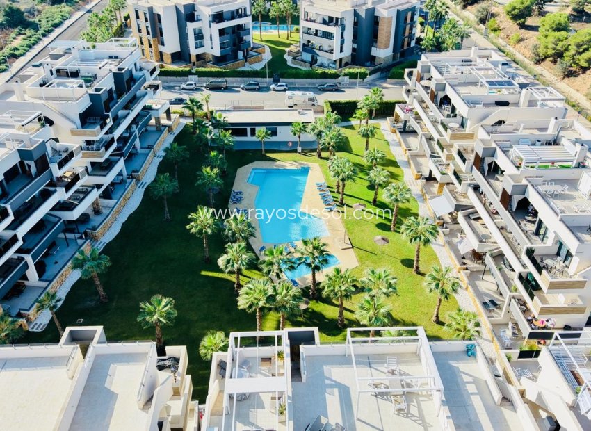 Resale - Apartment - Orihuela Costa - Los Altos