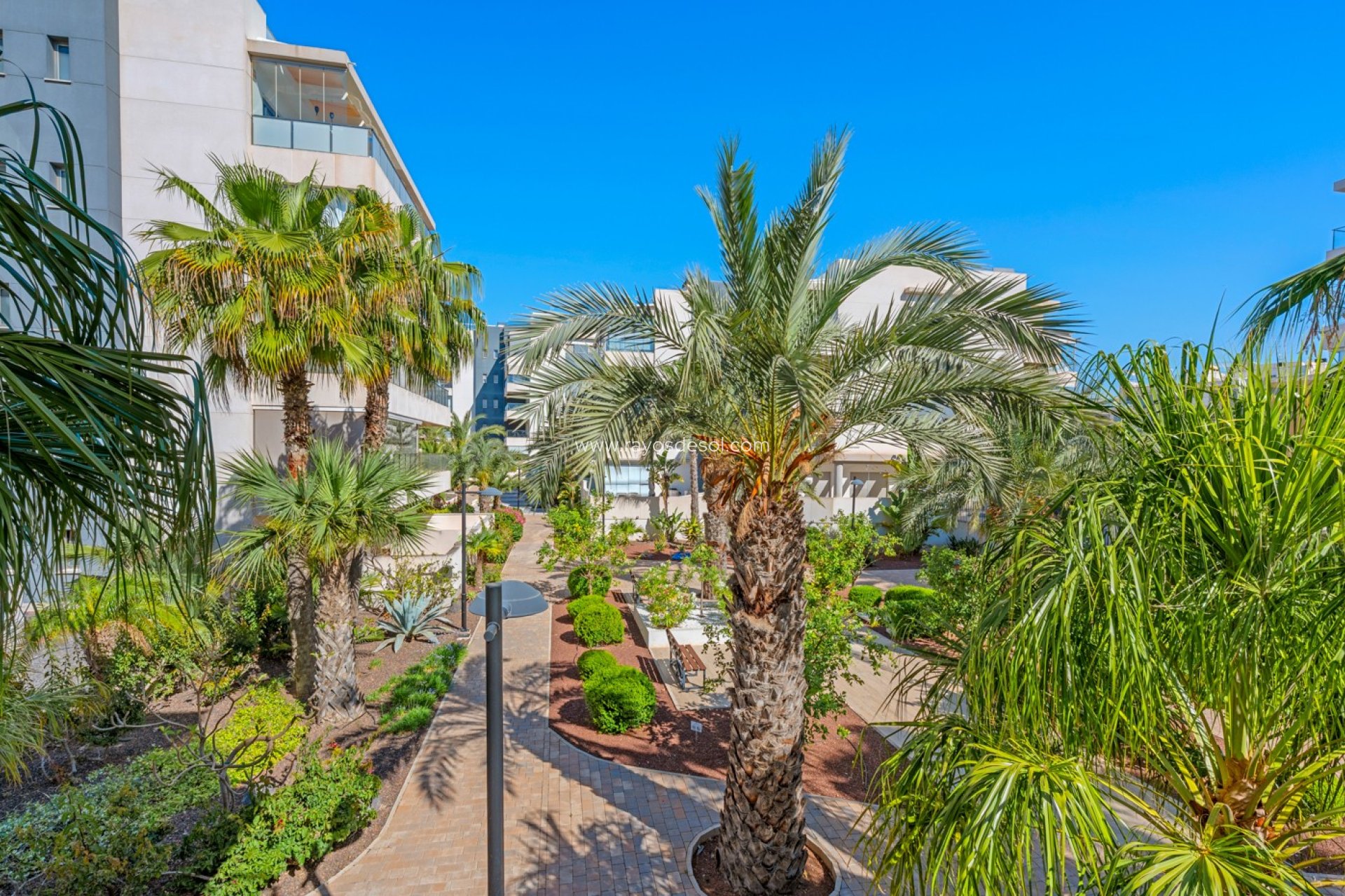 Resale - Apartment - Orihuela Costa - Los Dolses
