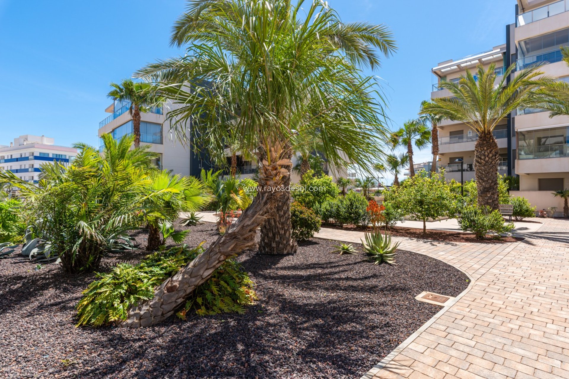 Resale - Apartment - Orihuela Costa - Los Dolses