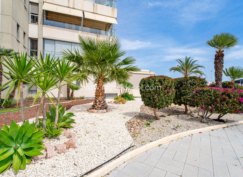 Resale - Apartment - Orihuela Costa - Los Dolses