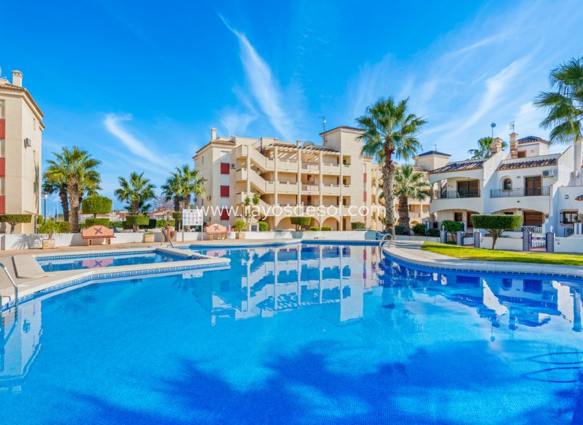 Resale - Apartment - Orihuela Costa - Playa Flamenca