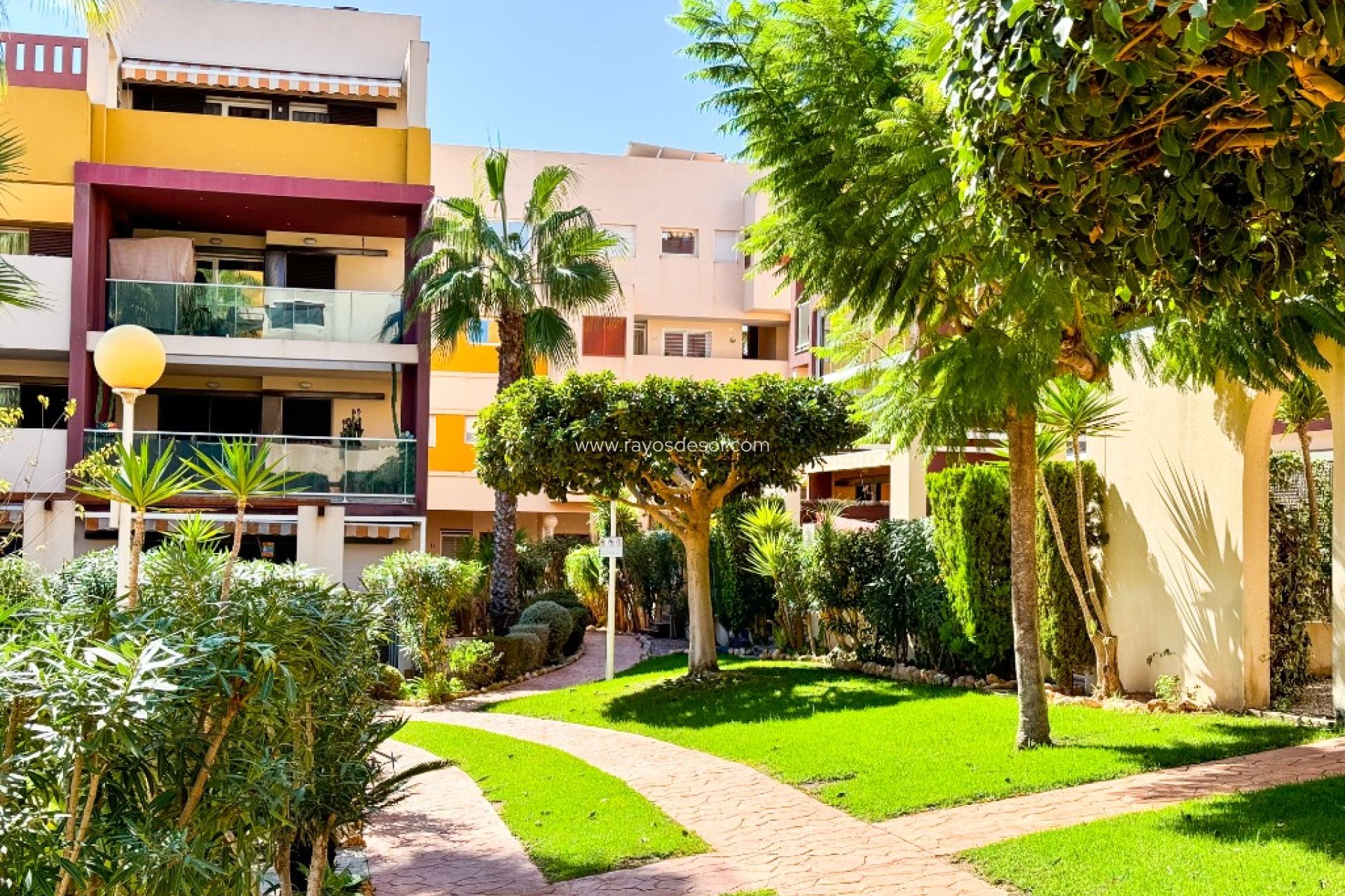Resale - Apartment - Orihuela Costa - Playa Flamenca