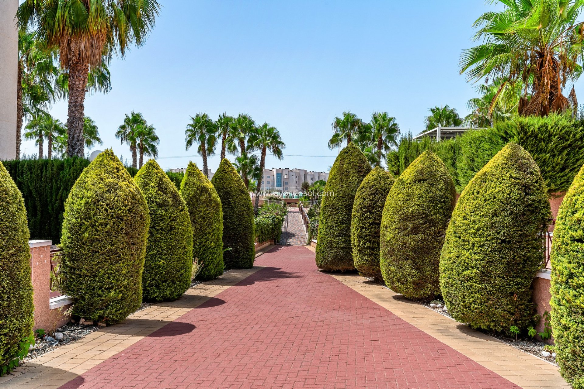 Resale - Apartment - Orihuela Costa - Playa Flamenca