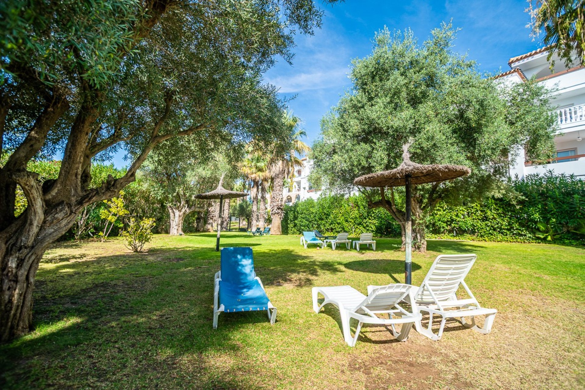 Resale - Apartment - Orihuela Costa - Villamartín