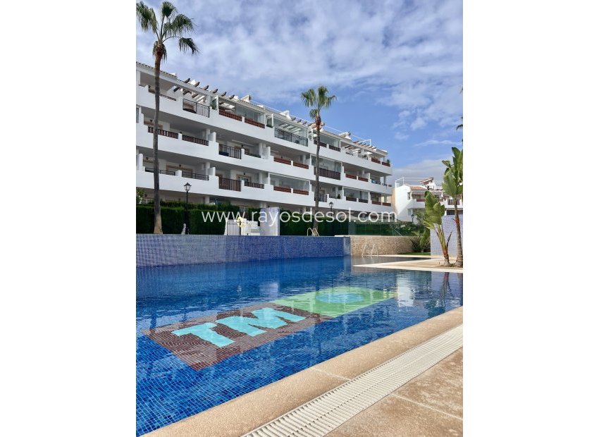Resale - Apartment - Orihuela Costa - Villamartin