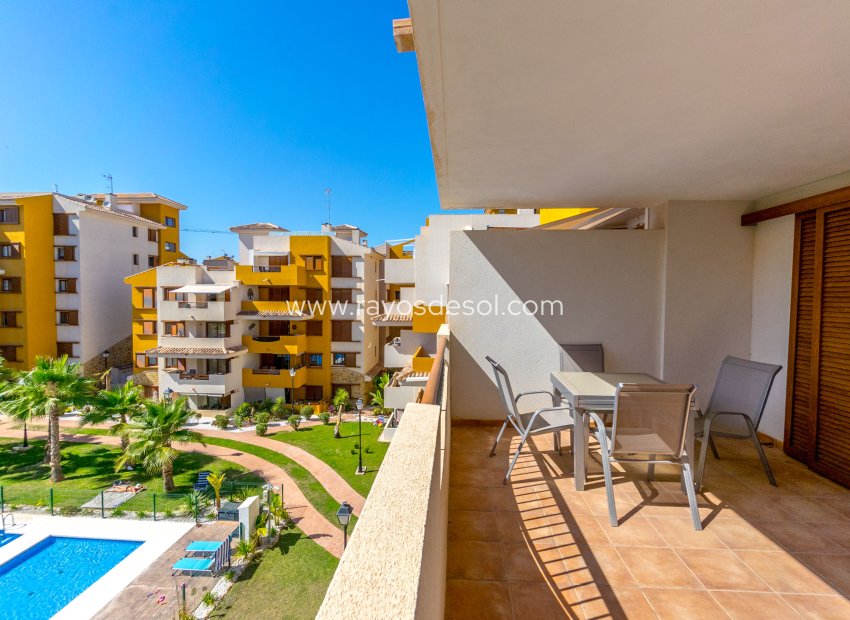 Resale - Apartment - Punta Prima - La Recoleta