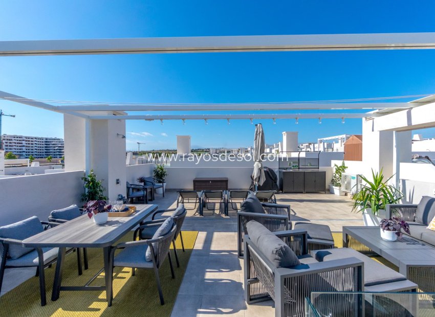 Resale - Apartment - San Miguel de Salinas