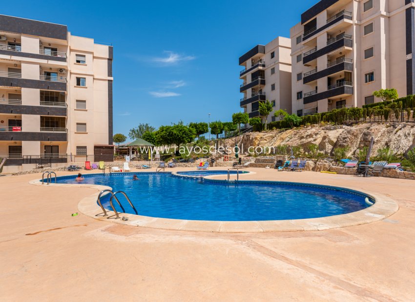 Resale - Apartment - San Miguel de Salinas