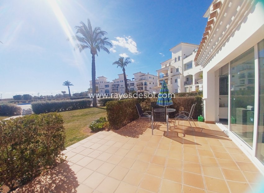 Resale - Apartment - Sucina - Hacienda Riquelme Golf Resort
