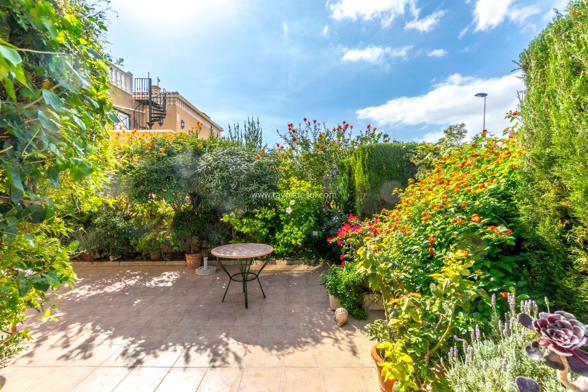 Resale - Apartment - Torrevieja - Aguas Nuevas