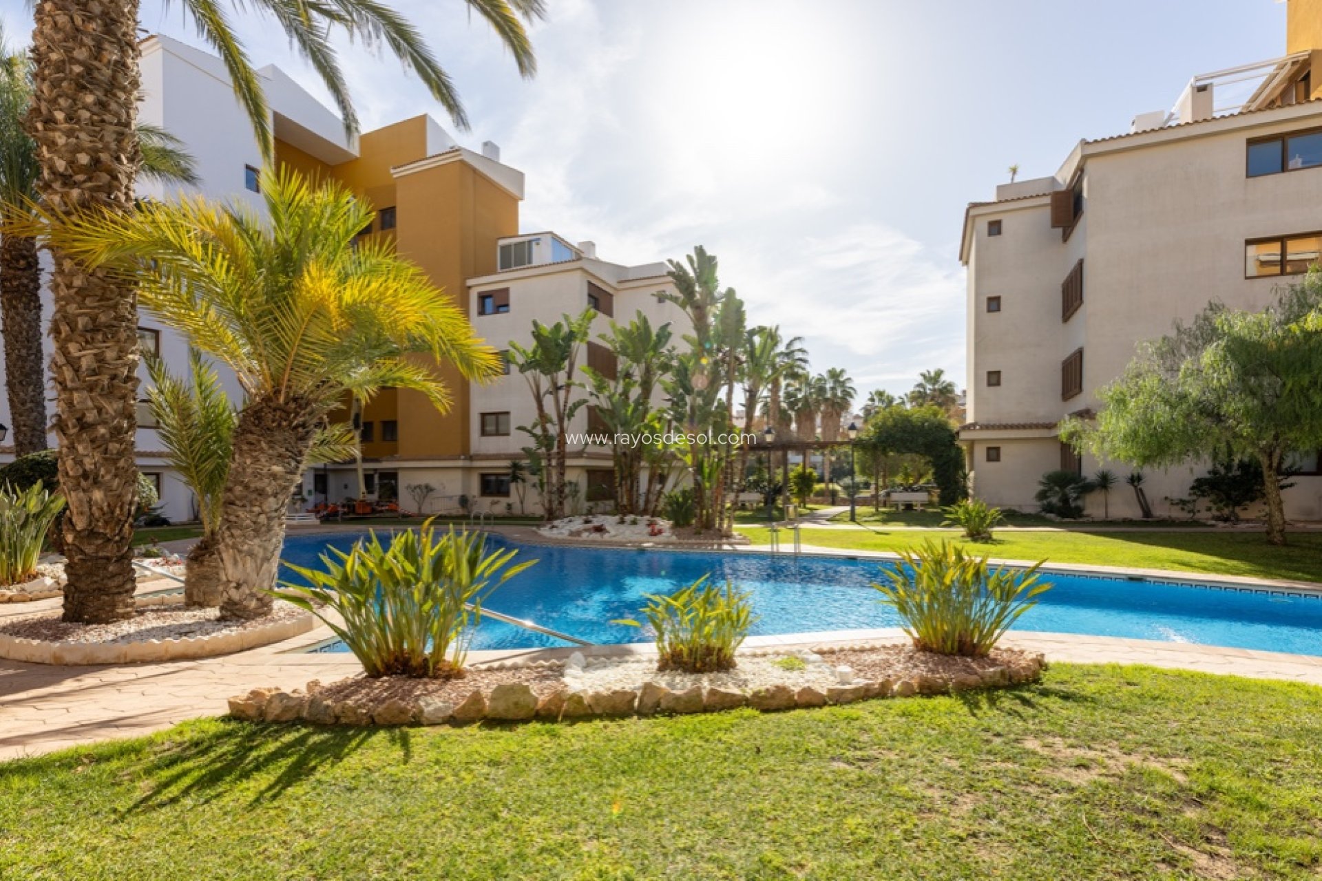 Resale - Apartment - Torrevieja - Punta Prima
