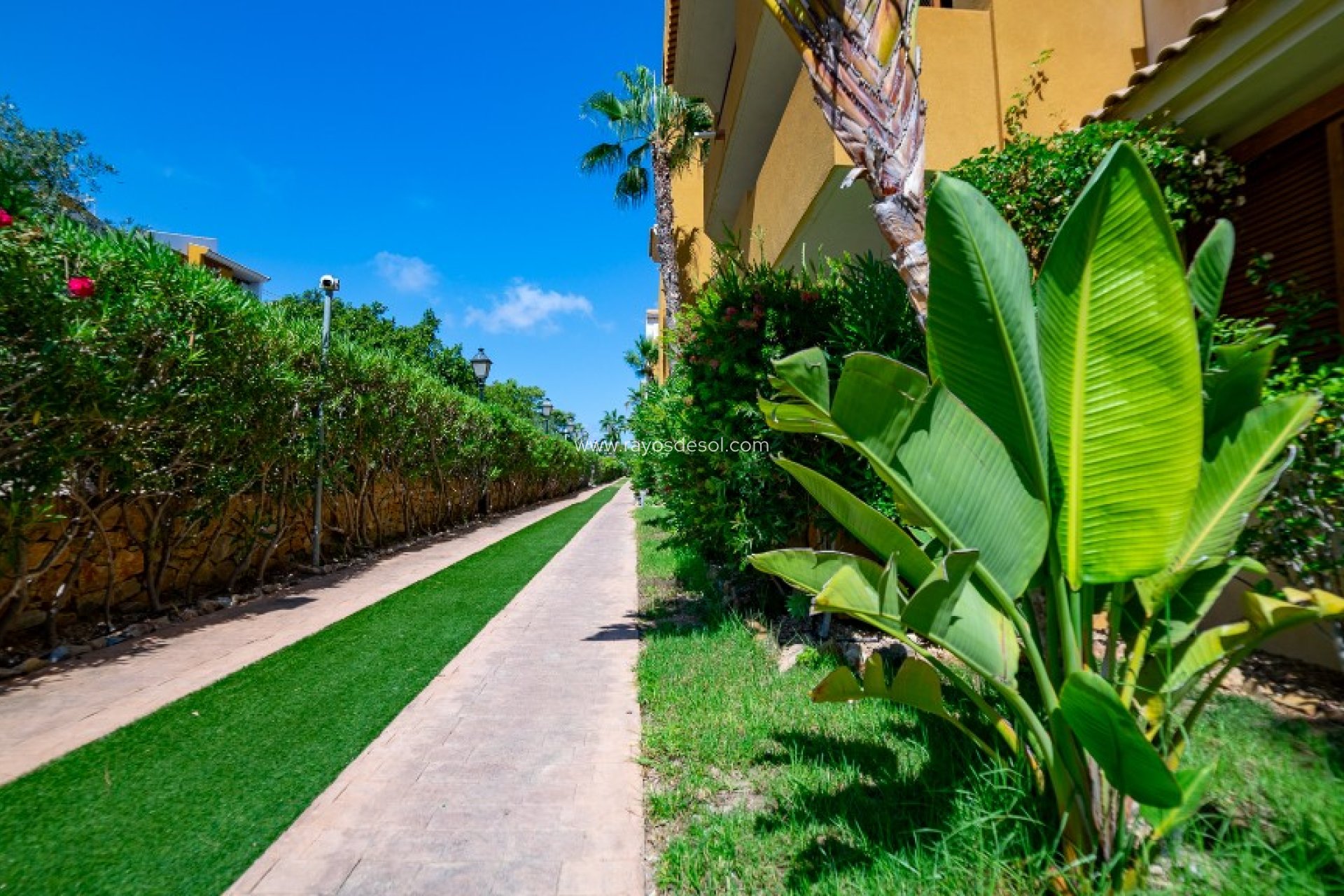 Resale - Apartment - Torrevieja - Punta Prima