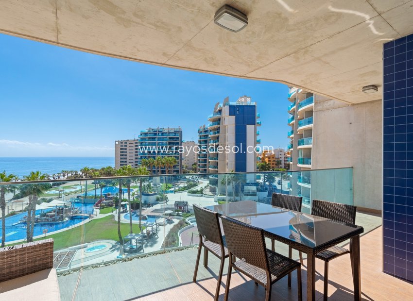 Resale - Apartment - Torrevieja - Punta Prima