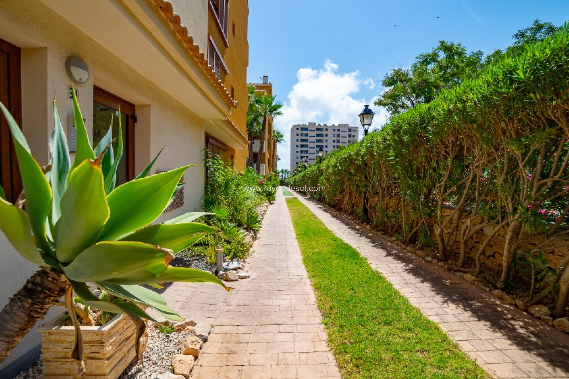 Resale - Apartment - Torrevieja - Punta Prima