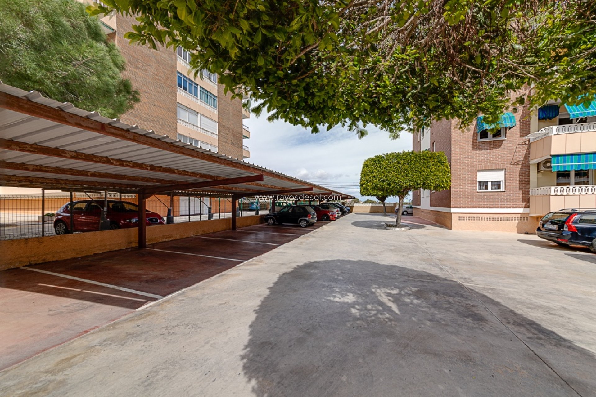 Resale - Apartment - Torrevieja - Punta Prima