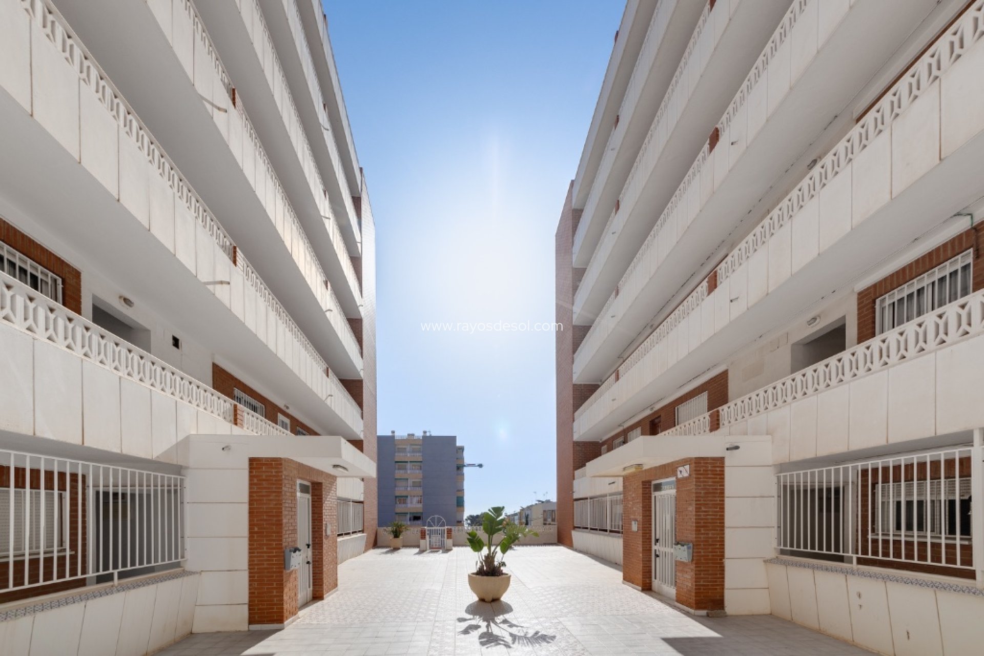 Resale - Apartment - Torrevieja - Punta Prima