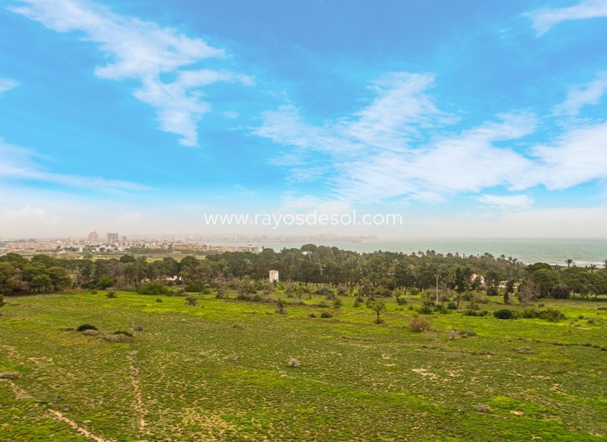 Resale - Apartment - Torrevieja - Punta Prima