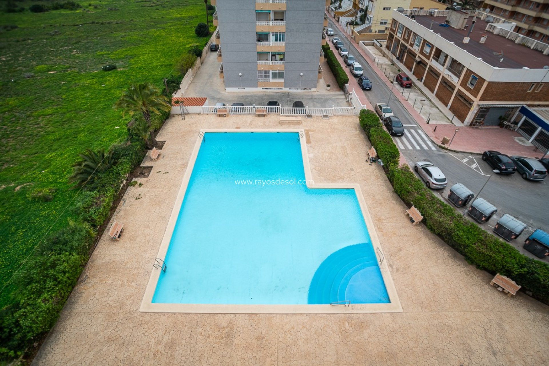 Resale - Apartment - Torrevieja - Punta Prima