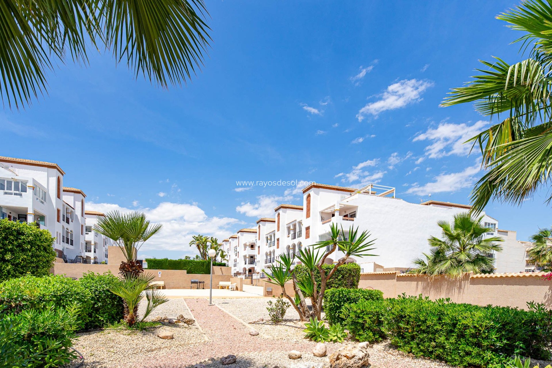 Resale - Apartment - Torrevieja - Punta Prima