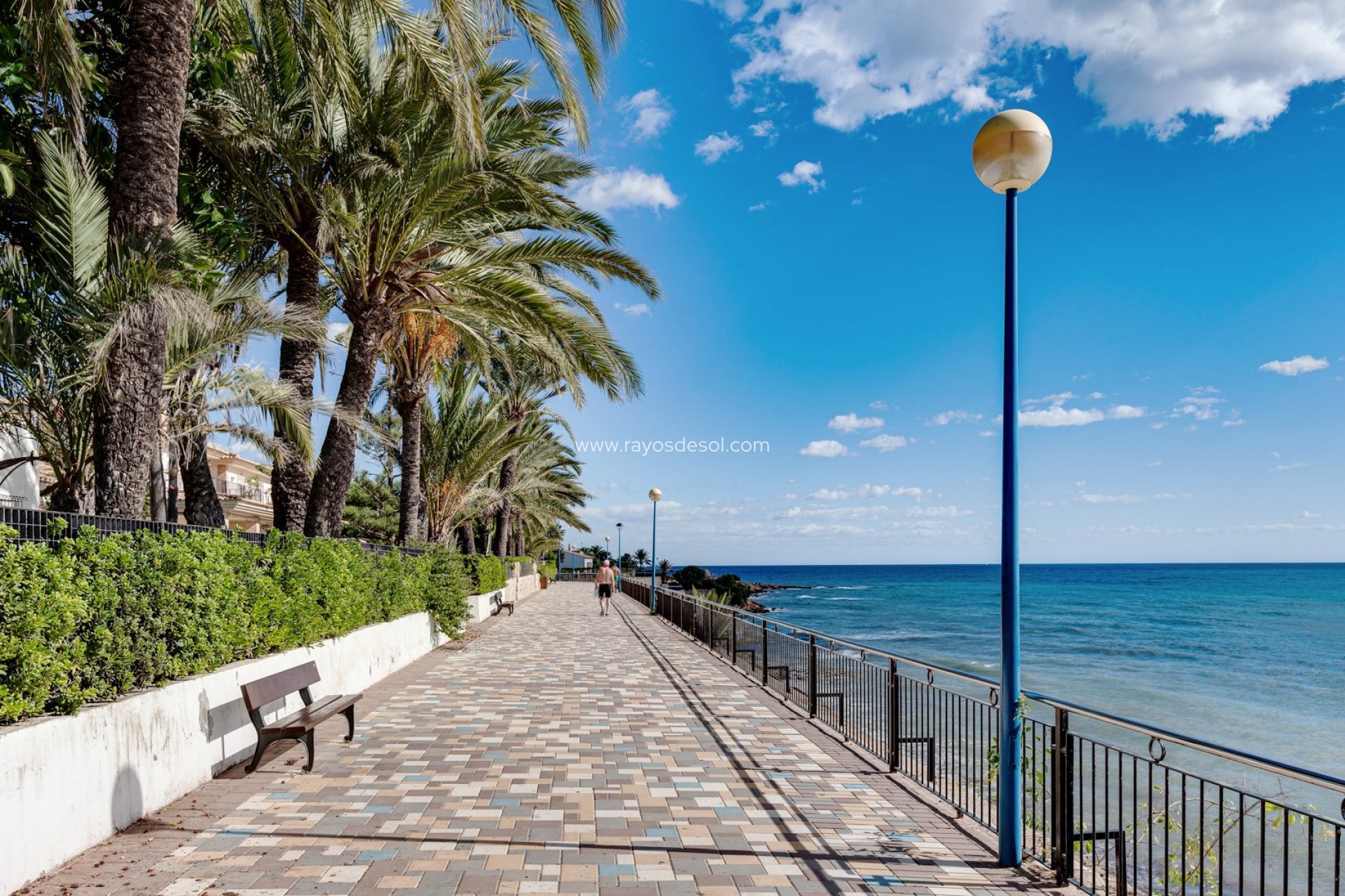 Resale - Apartment - Torrevieja - Punta Prima