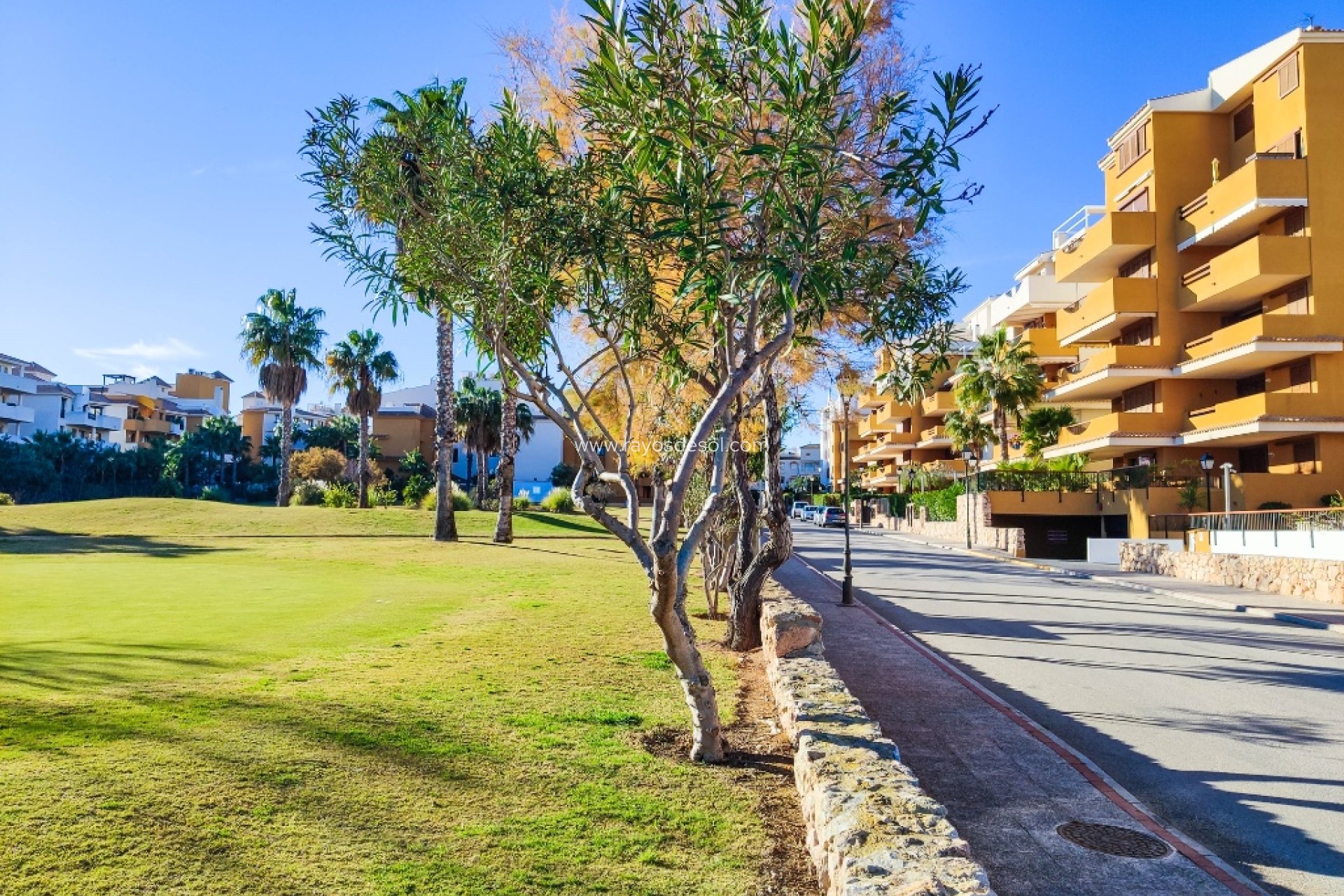 Resale - Apartment - Torrevieja - Punta Prima