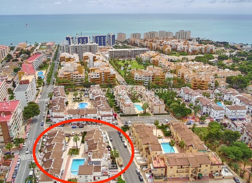 Resale - Apartment - Torrevieja - Punta Prima