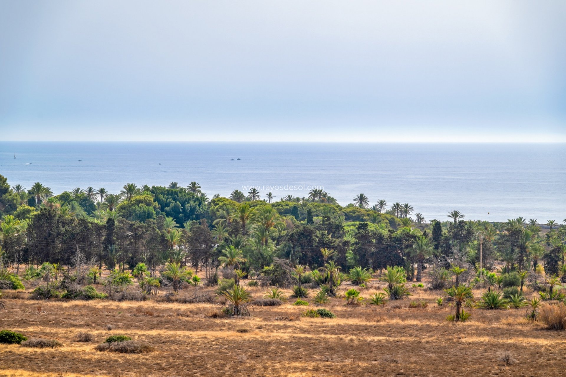 Resale - Apartment - Torrevieja - Punta Prima