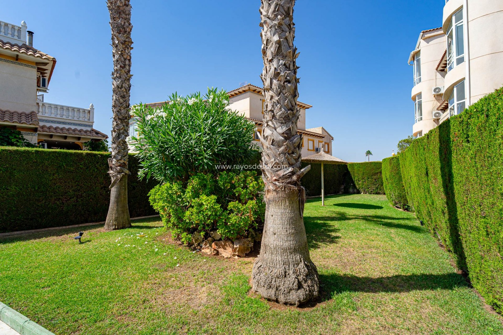 Resale - Apartment - Torrevieja - Punta Prima