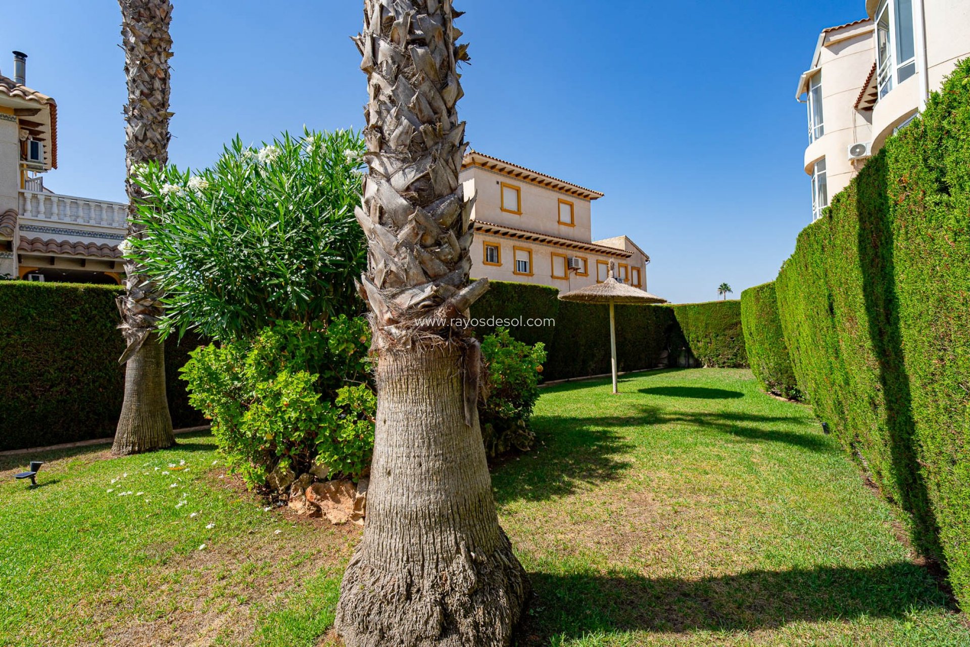 Resale - Apartment - Torrevieja - Punta Prima