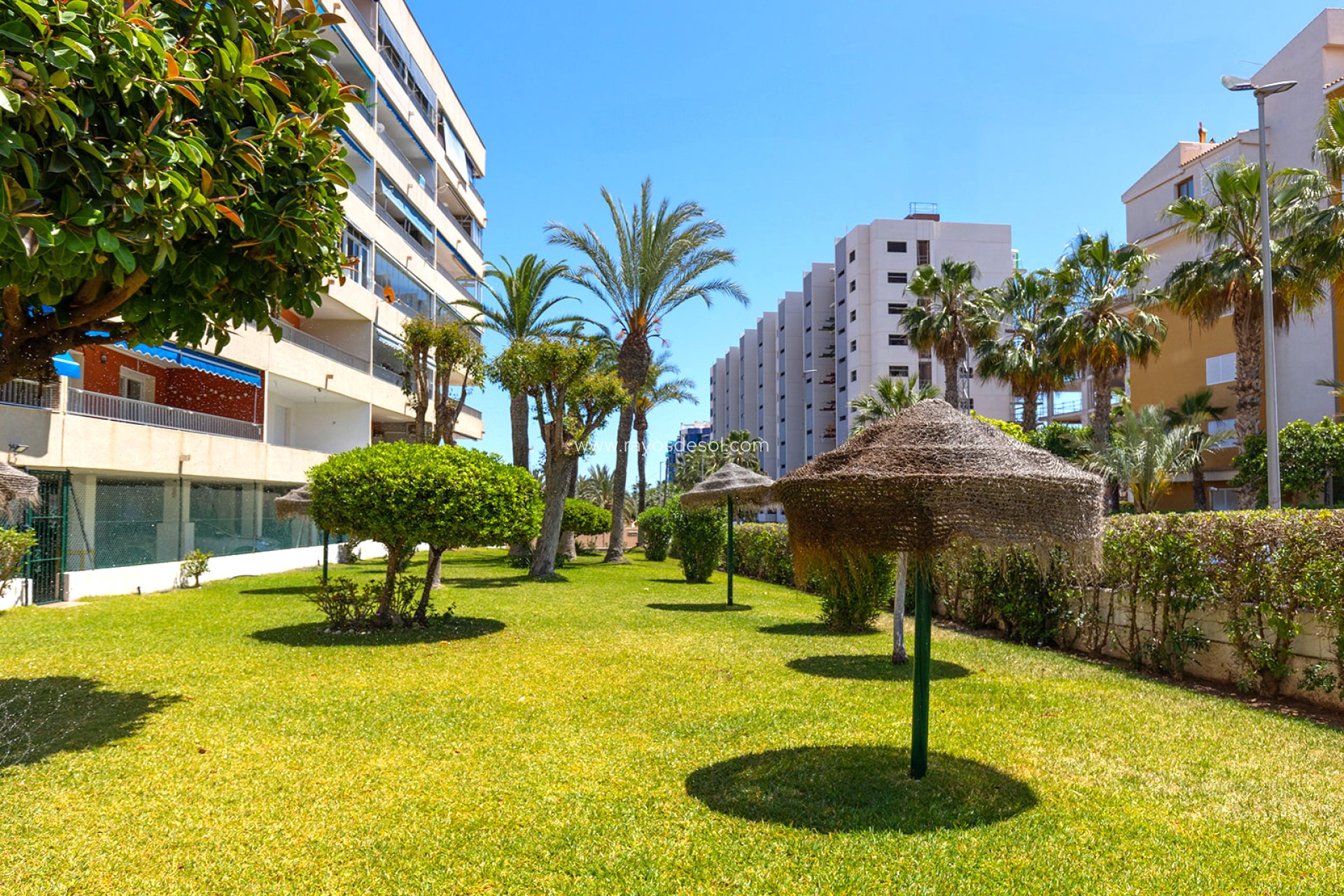 Resale - Apartment - Torrevieja - Rocio del Mar