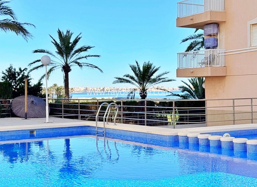 Resale - Apartment - Torrevieja - Rocio del Mar