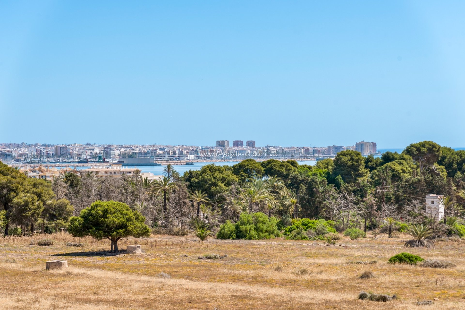 Resale - Apartment - Torrevieja